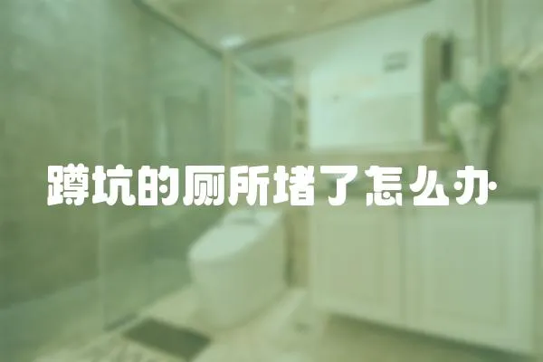 蹲坑的廁所堵了怎么辦