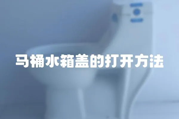 馬桶水箱蓋的打開方法