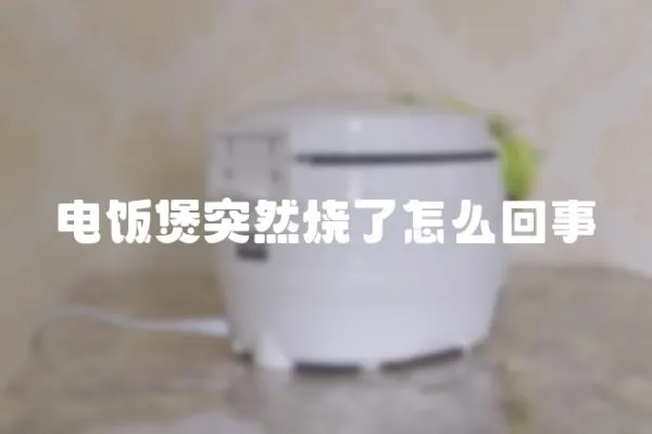 電飯煲突然燒了怎么回事