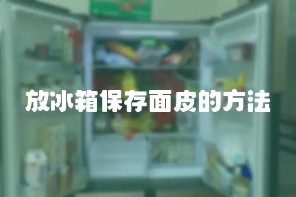 放冰箱保存面皮的方法