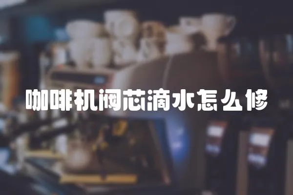 咖啡機閥芯滴水怎么修