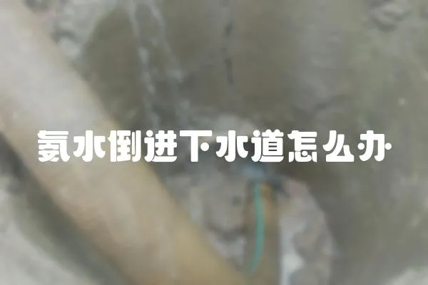 氨水倒进下水道怎么办