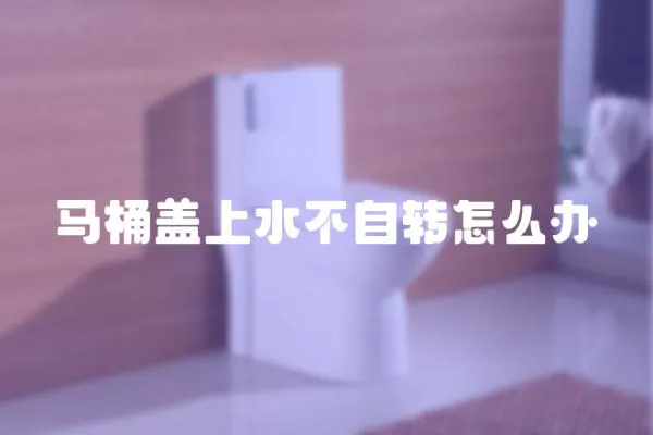 馬桶蓋上水不自轉(zhuǎn)怎么辦