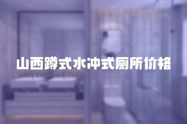山西蹲式水沖式廁所價格