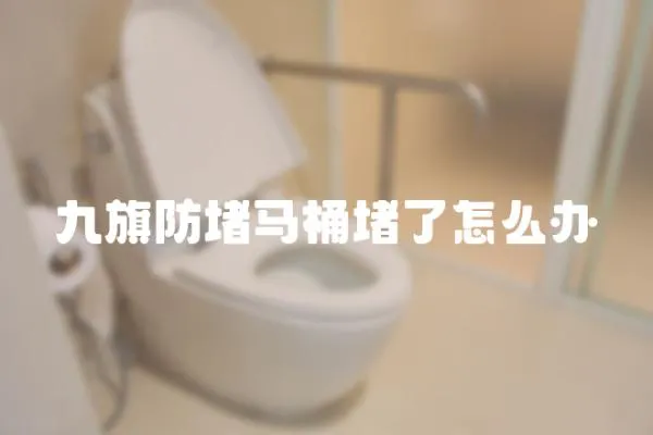 九旗防堵馬桶堵了怎么辦