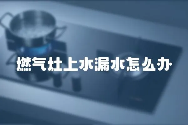 燃?xì)庠钌纤┧趺崔k