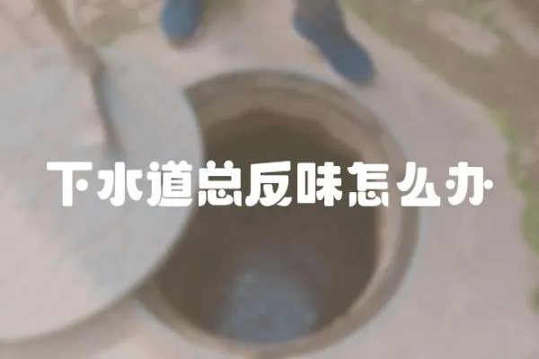下水道總反味怎么辦