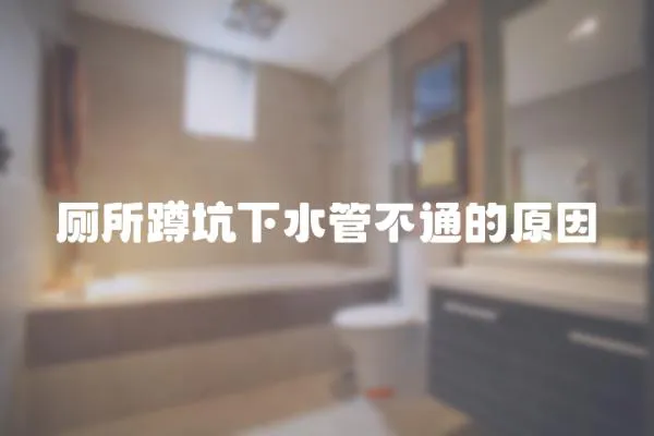 廁所蹲坑下水管不通的原因