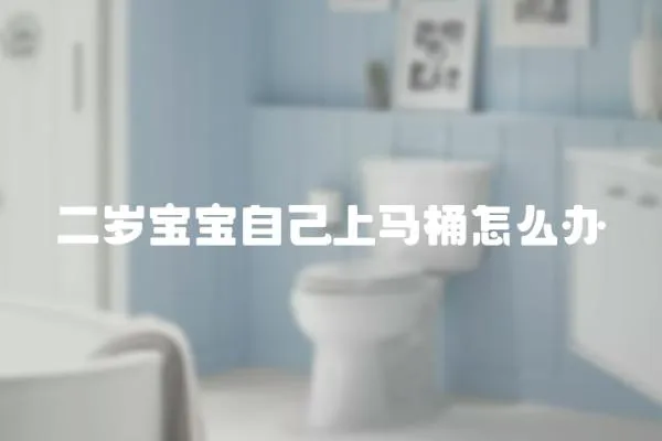二歲寶寶自己上馬桶怎么辦