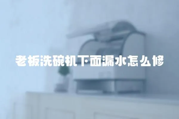老板洗碗機(jī)下面漏水怎么修