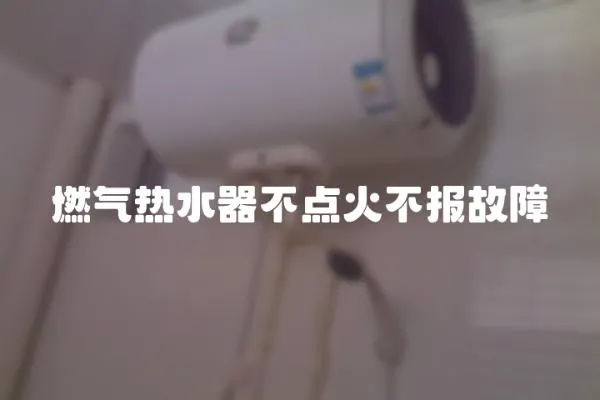 燃氣熱水器不點火不報故障