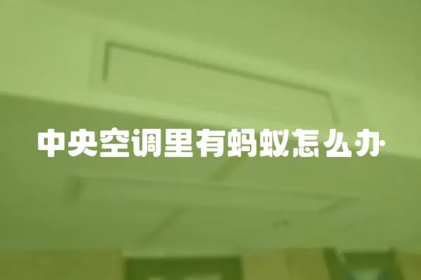 中央空調里有螞蟻怎么辦