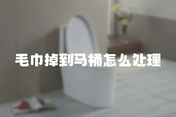 毛巾掉到馬桶怎么處理