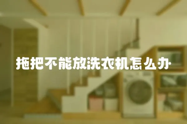 拖把不能放洗衣機(jī)怎么辦