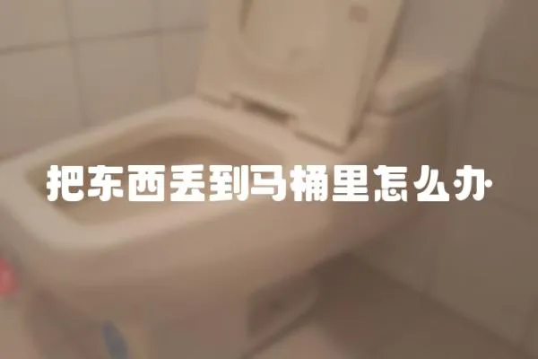 把東西丟到馬桶里怎么辦