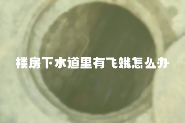 樓房下水道里有飛蛾怎么辦