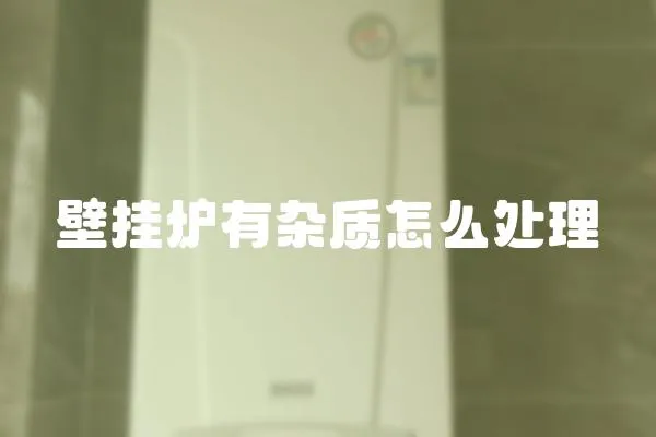 壁掛爐有雜質(zhì)怎么處理