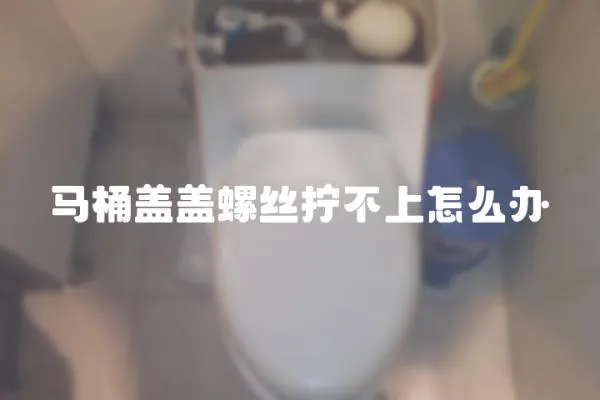 馬桶蓋蓋螺絲擰不上怎么辦
