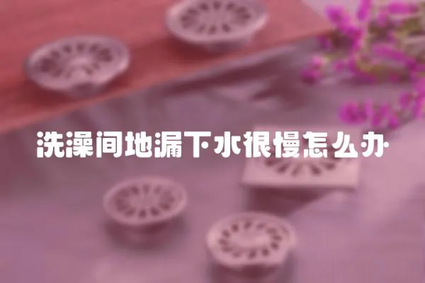 洗澡間地漏下水很慢怎么辦