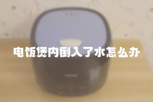 電飯煲內倒入了水怎么辦