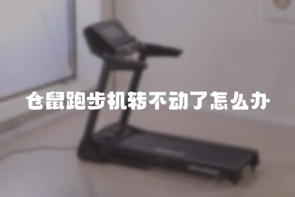 倉鼠跑步機轉不動了怎么辦
