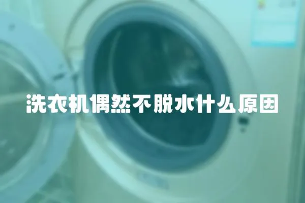 洗衣機偶然不脫水什么原因