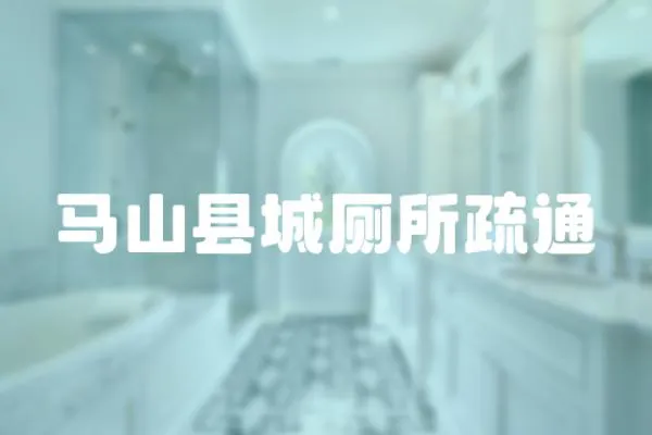 馬山縣城廁所疏通