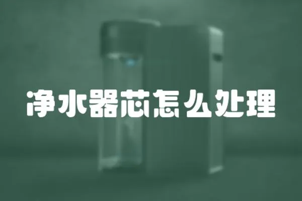 凈水器芯怎么處理