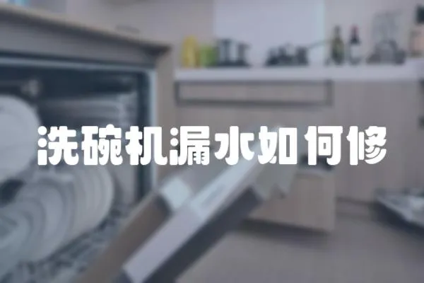 洗碗機漏水如何修