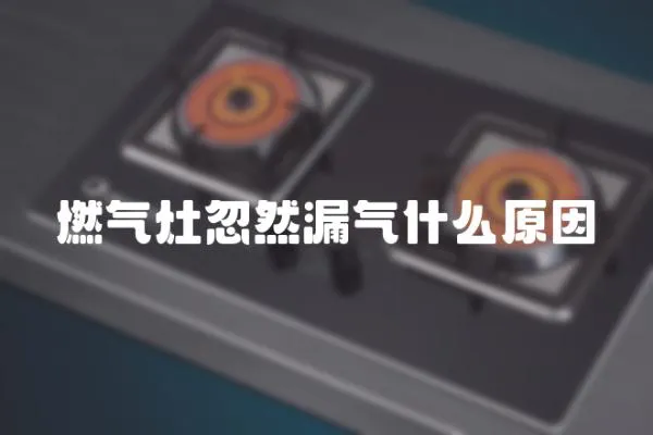 燃氣灶忽然漏氣什么原因