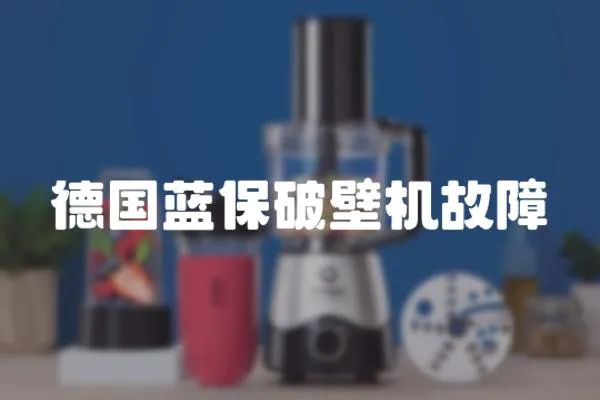 德國藍保破壁機故障