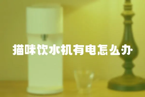 貓咪飲水機有電怎么辦