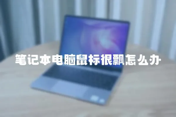 筆記本電腦鼠標很飄怎么辦
