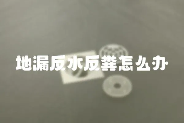 地漏反水反糞怎么辦