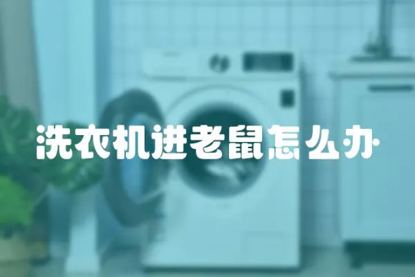 洗衣機進老鼠怎么辦