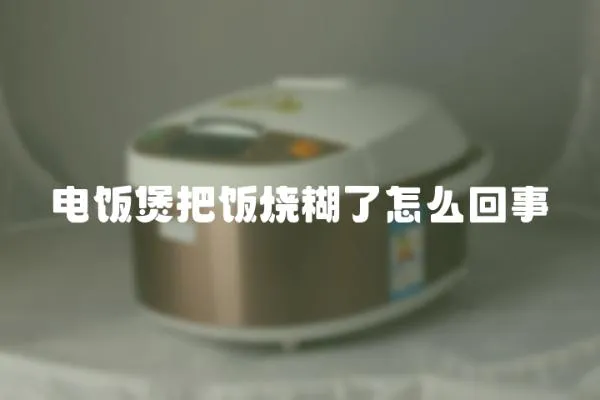 電飯煲把飯燒糊了怎么回事