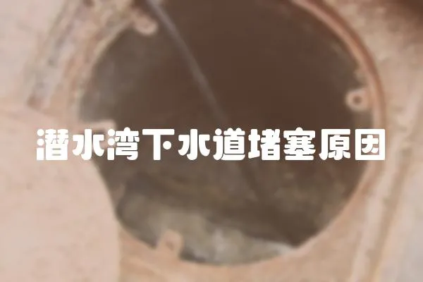 潛水灣下水道堵塞原因