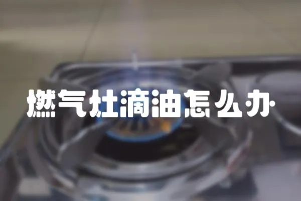 燃?xì)庠畹斡驮趺崔k