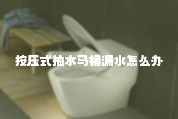 按壓式抽水馬桶漏水怎么辦