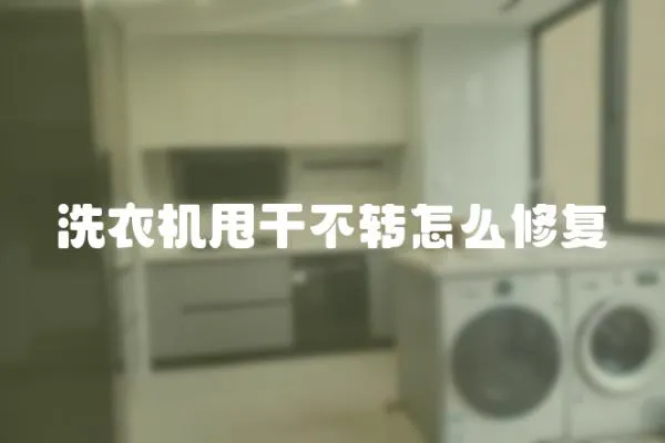 洗衣機甩干不轉怎么修復