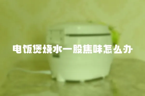 電飯煲燒水一股焦味怎么辦