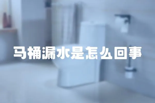 馬桶漏水是怎么回事