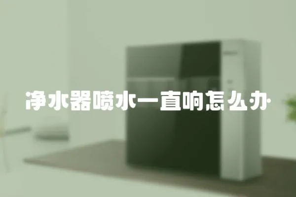 凈水器噴水一直響怎么辦