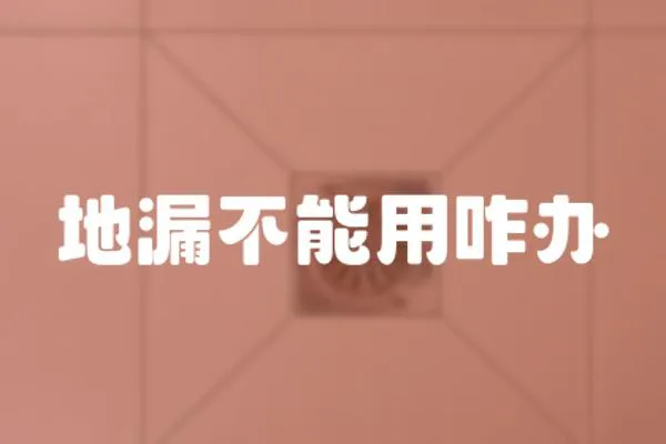 地漏不能用咋辦