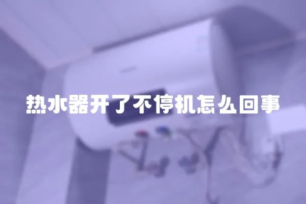 熱水器開了不停機怎么回事