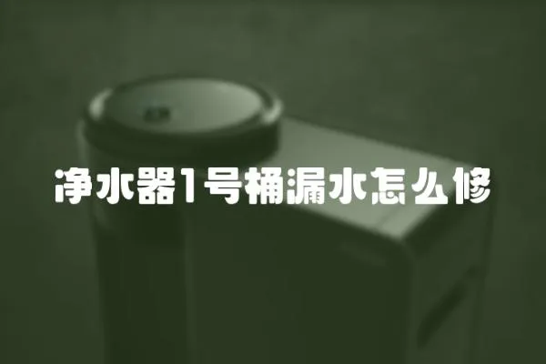 凈水器1號桶漏水怎么修