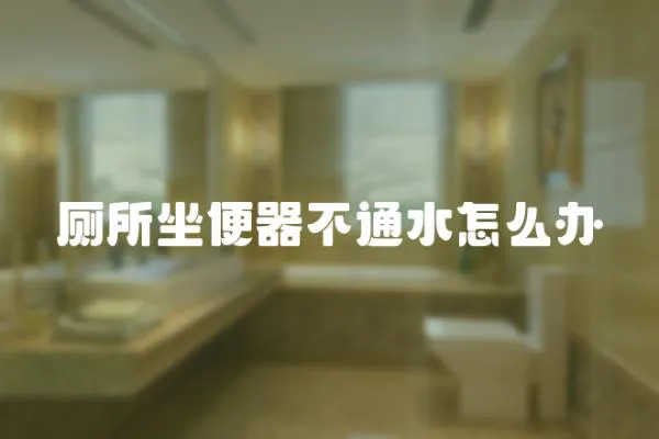廁所坐便器不通水怎么辦