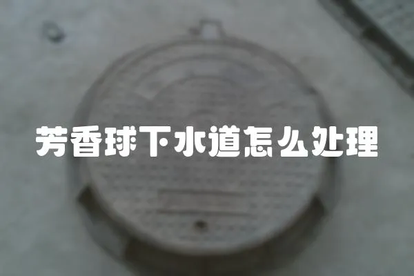 芳香球下水道怎么處理