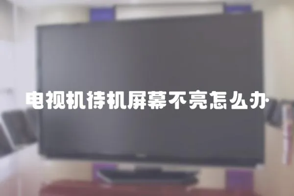 電視機待機屏幕不亮怎么辦
