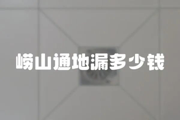 嶗山通地漏多少錢
